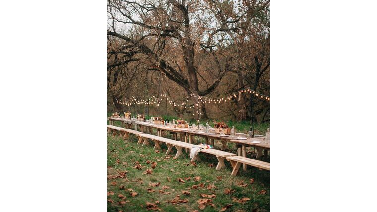 Backyard Wedding Package