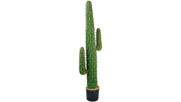 55" Mexican Cactus Artificial